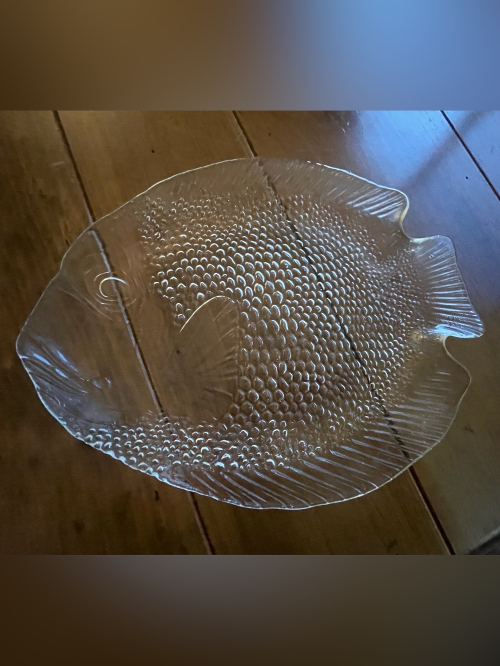 Arcoroc Glass Fish Serving Dish Platter France Clear Textured